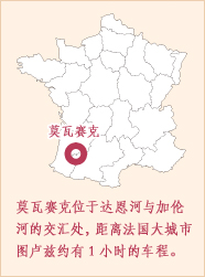 莫瓦赛克位于达恩河与加伦河的交汇处,距离法国大城市图卢兹约有1小时的车程。