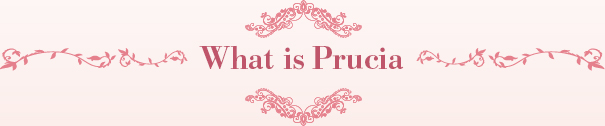What is Prucia