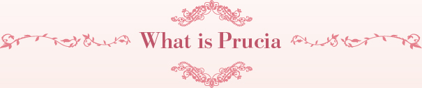 What is Prucia