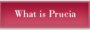 What is Prucia