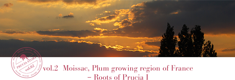 vol.2 Moissac, Plum growing region of France – Roots of Prucia I