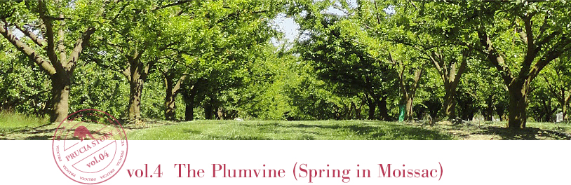 vol.4 The Plumvine (Spring in Moissac)